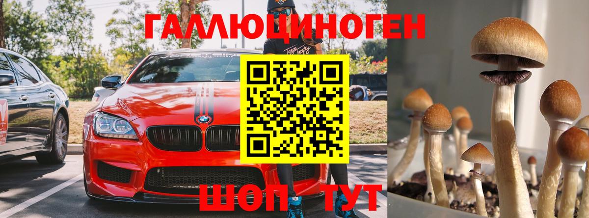 Галлюциногенные грибы Cubensis  Вход с VPN  Долгопрудный 